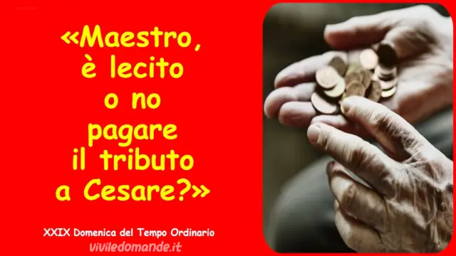 A chi apparteniamo?