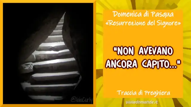 Non avevano ancora capito