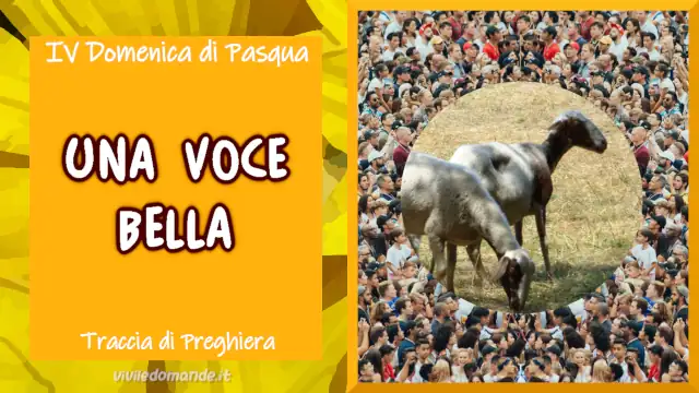 Una bella voce