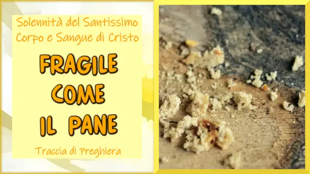 Fragile come il pane