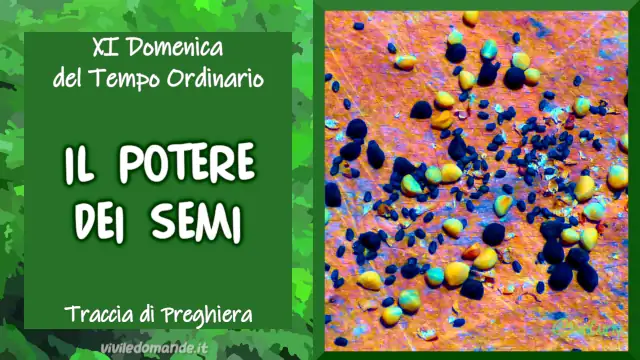 Il potere dei semi
