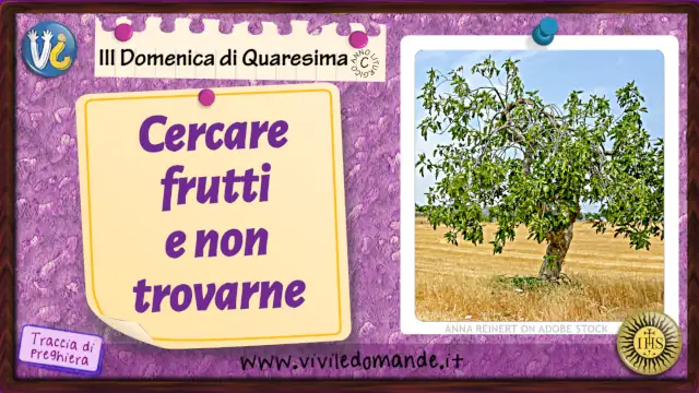 cercare frutti e non trovarne