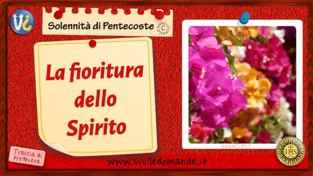 La fioritura dello Spirito